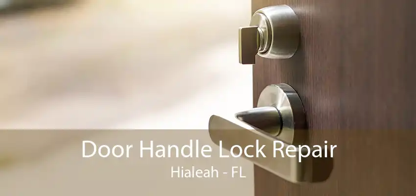 Door Handle Lock Repair Hialeah - FL