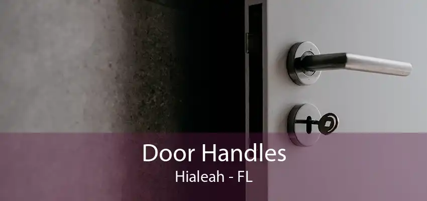 Door Handles Hialeah - FL