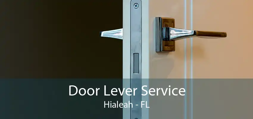 Door Lever Service Hialeah - FL